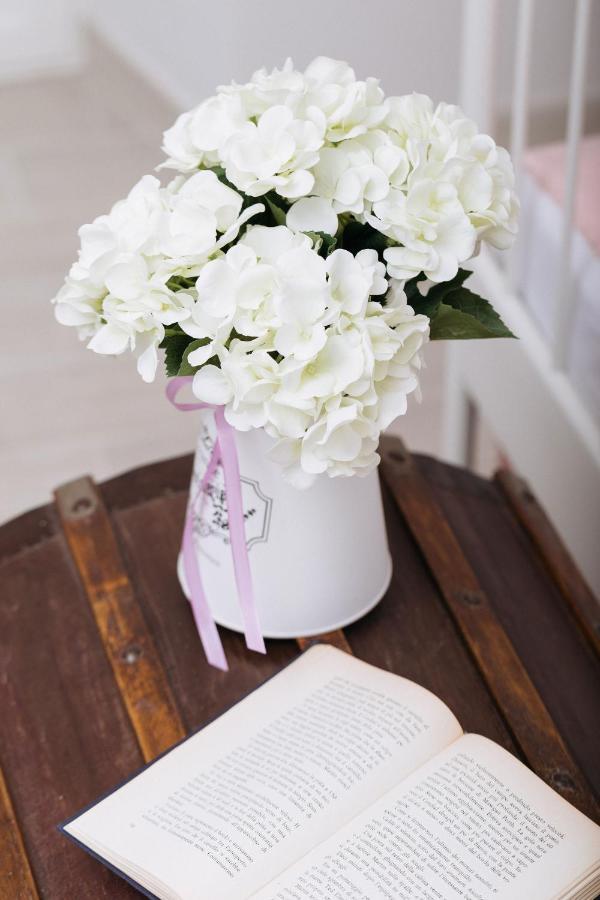 La Casa Di Aneti Apartment โดลเชอักกวา ภายนอก รูปภาพ